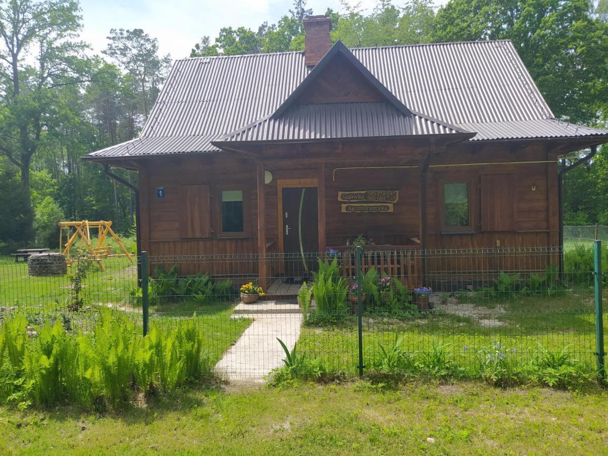 Villa Gajowka Zlobek à Zlobek  Extérieur photo